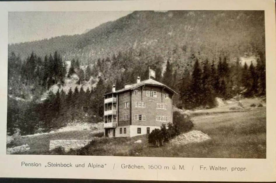 Hotel Alpina Grächen Extérieur photo