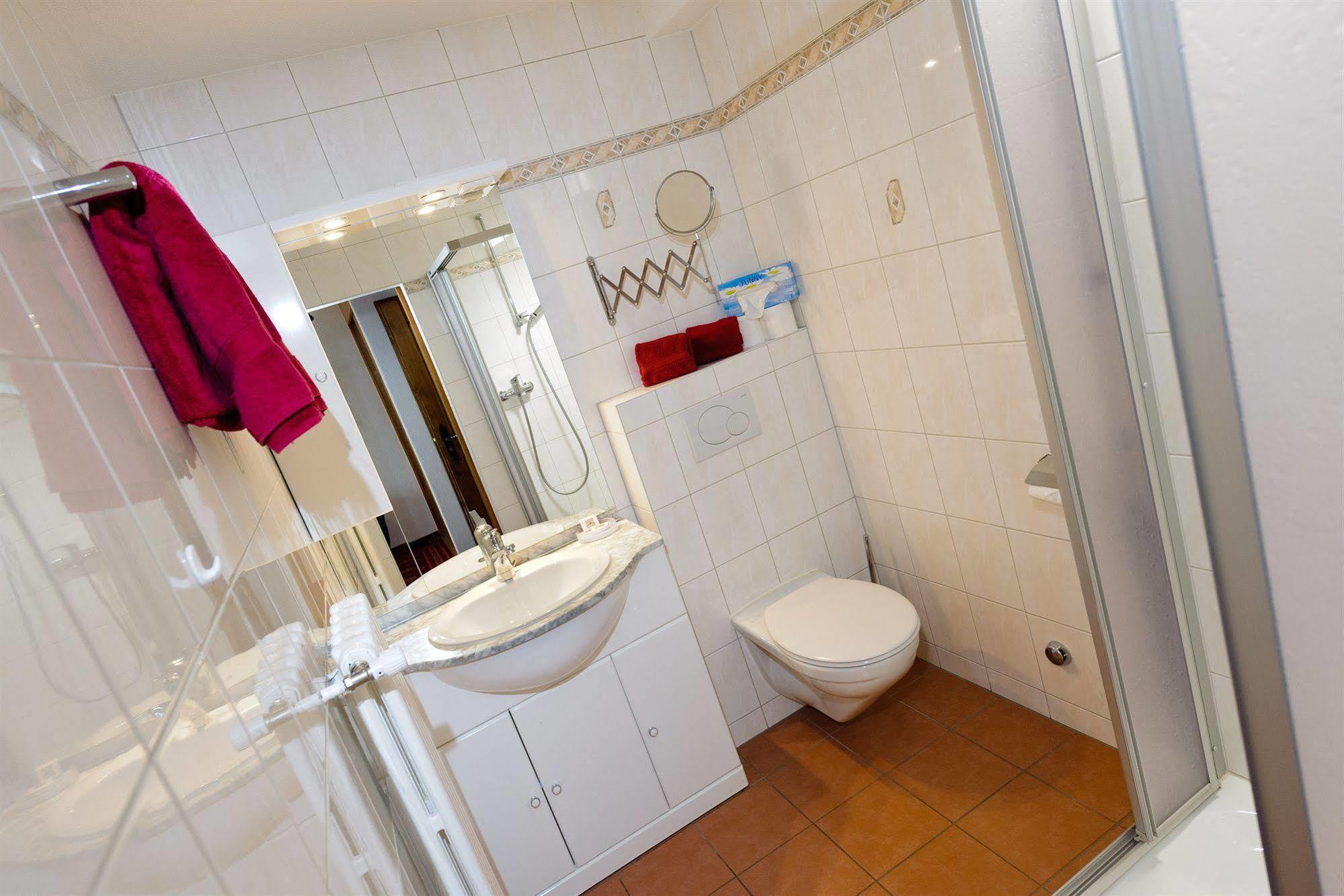 Hotel Alpina Grächen Extérieur photo